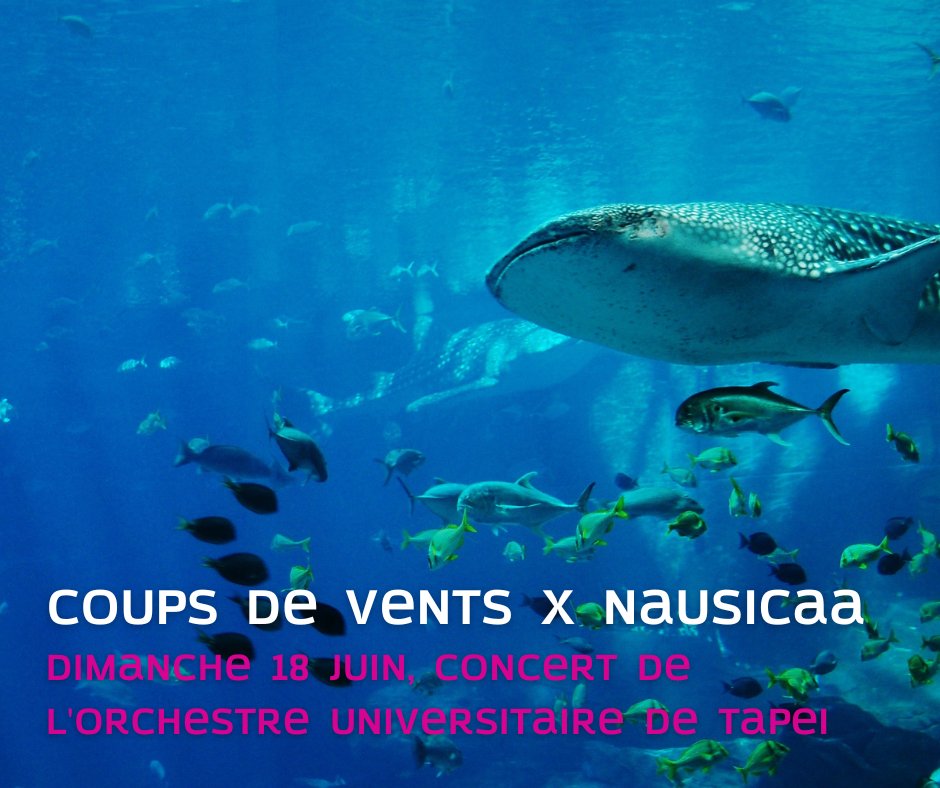 🐠 Dimanche 18/06 avec Coups de Vents, <a href="/PlaneteNAUSICAA/">Nausicaá</a> accueille l’Orchestre Universitaire de Taipei pour un concert devant le bassin de la Haute Mer. Le programme puisera dans le répertoire issu de notre Concours International d’Orchestration ! >>> nausicaa.fr/article/escale…
