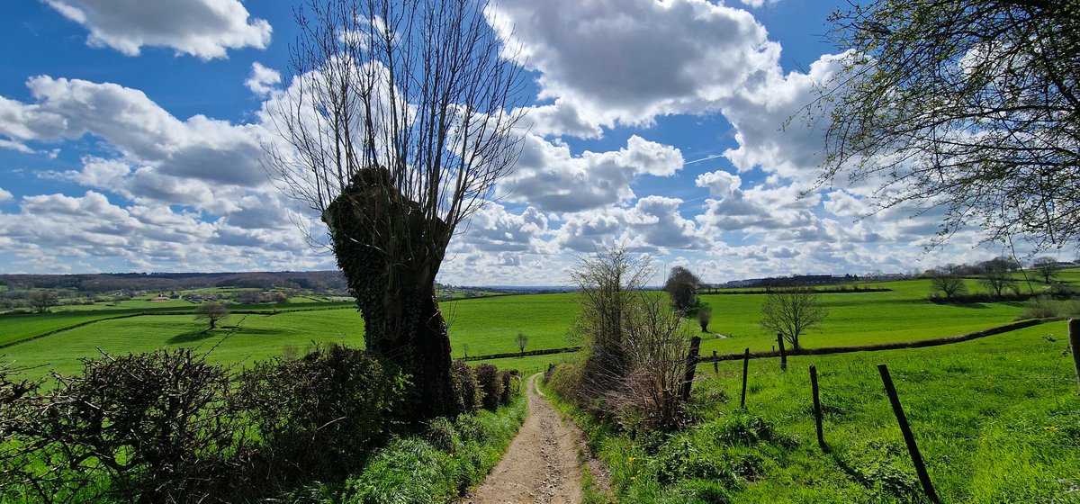 marcelbar8's tweet photo. Wat een prachtige dag!
Heb inmiddels 18 km gewandeld in @magnifiekZL.
F1 omgeving #Schweiberg
F2 omgeving #Eperheide
F3 omgeving #Heijenrath
F4 omgeving #Epen
Nu aan het ijs met vers fruit in Epen...π En daarna naar #Cottessen. https://t.co/B97fdvZ3Cr