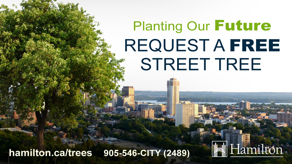 Trees reduce heat by providing shade, improve air quality and absorb pollutants. Contribute to the city’s tree canopy by signing up to receive a FREE street tree from our Forestry division. Details:
 hamilton.ca/trees #HamOnt