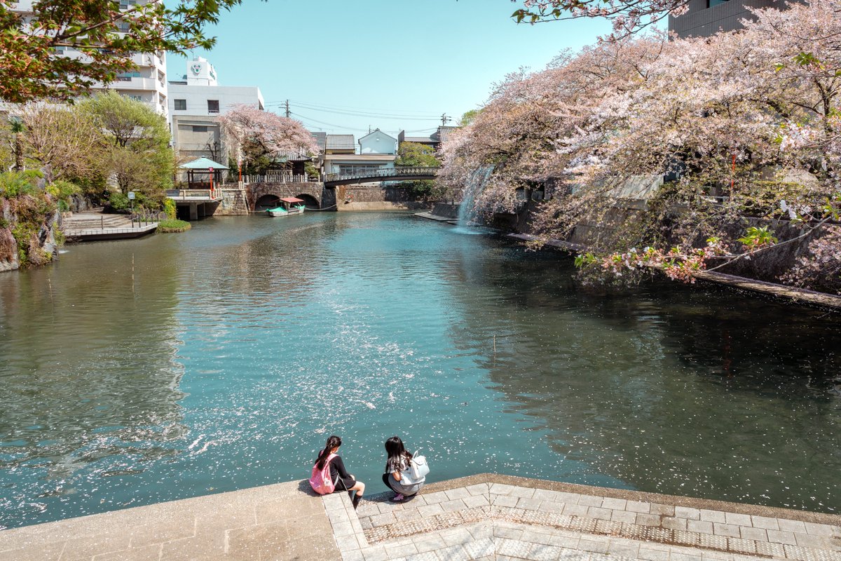 Ichiban_Japan's tweet photo. Ogaki, la ville où se déroule l'histoire de l'excellent film d'animation (et manga) "A Silent Voice" 🌸💫 https://t.co/bFQtMWHaVi