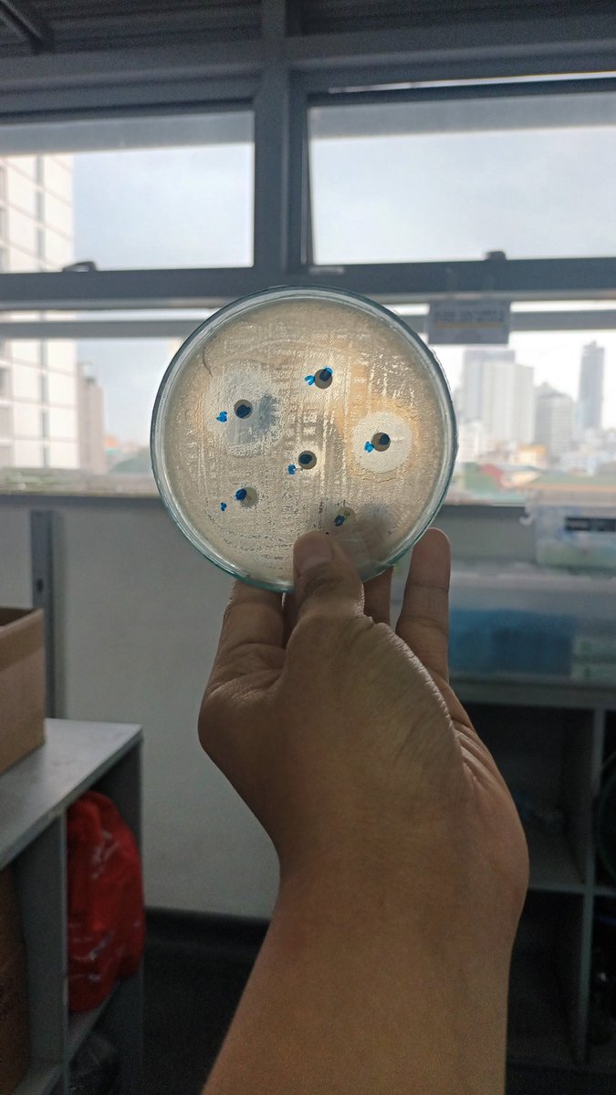 loonaoerry's tweet photo. jeno, jaemin, choerry, aaand jiwoong too will come with me inside the microbio lab

(microbiology major) https://t.co/VlkbhyBRum