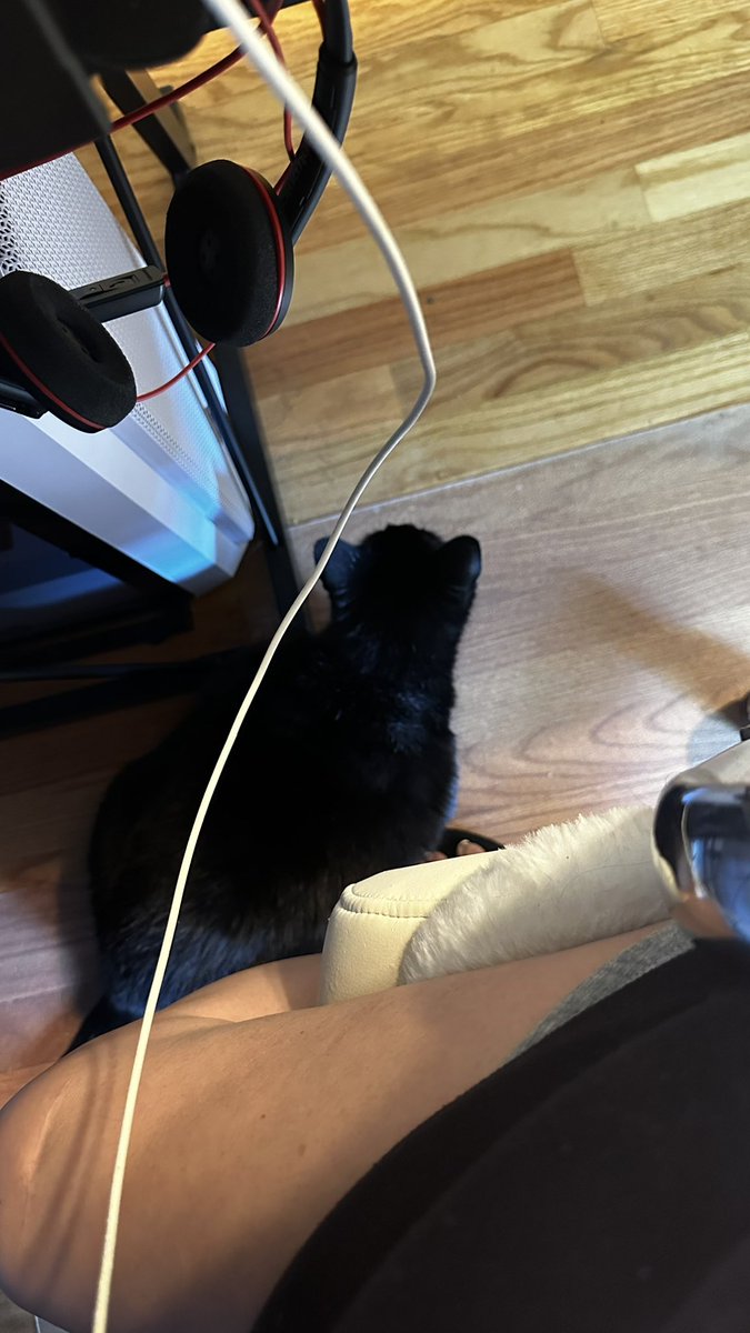 iamchongkim's tweet photo. My cat, Roxie will sit and wait for me to play, it's soo cute 🥰. #fyp #furbabies #catsofinstagram #Roxie #blackcat #mentalhealth #furtherapy #iamchongkim https://t.co/zeTLJFbSGC