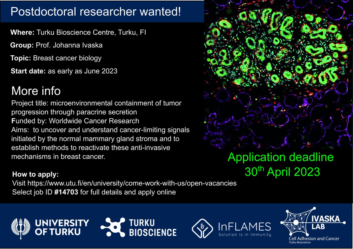 Johanna Ivaska (@johannaivaska) on Twitter photo Postdoctoral position(s) available in <a href="/IvaskaLab/">Ivaska Lab</a> ! Apply by end of April if you are interested to 1) explore stroma-cancer crosstalk in breast cancer invasion (see flyer) or 2) to explore RTK trafficking and therapeutic antibody efficacy with <a href="/klauselenius/">Klaus Elenius</a> Postdoctoral position(s) available in <a href="/IvaskaLab/">Ivaska Lab</a> ! Apply by end of April if you are interested to 1) explore stroma-cancer crosstalk in breast cancer invasion (see flyer) or 2) to explore RTK trafficking and therapeutic antibody efficacy with <a href="/klauselenius/">Klaus Elenius</a>