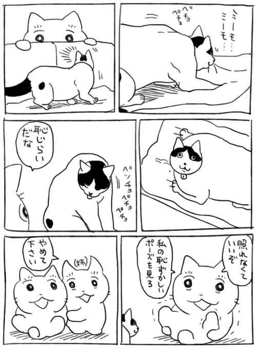 照猫 https://t.co/H4602wP7kt