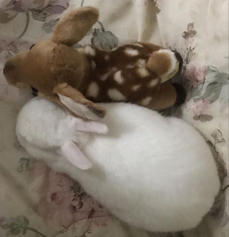 .*•♡•*. tweet media