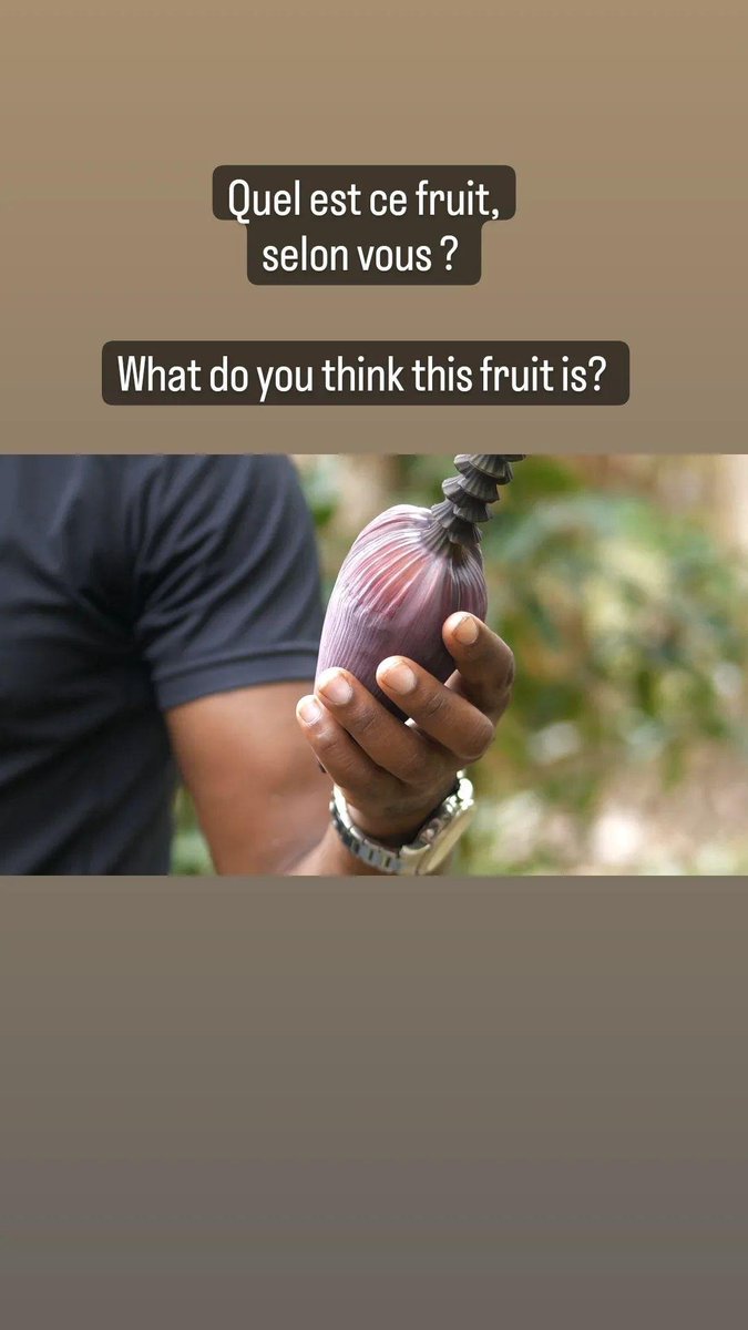 Techniques Ecologiques (@madbearnature) on Twitter photo 