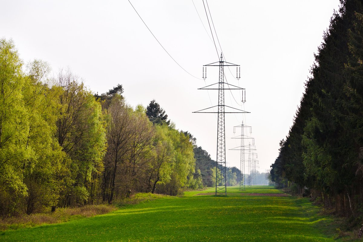 EU_ACER's tweet photo. 📢ACER recommends an ex-post reconciliation of the costs of losses due to #transits in the ITC mechanism
The #ITC fund compensates relevant #GridOperators for the costs incurred on national #power systems for hosting #CrossBorder flows of #electricity
🔗https://t.co/zqVMx5w89i https://t.co/Smp9p8Yal8