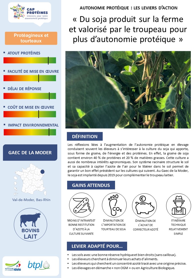 CapProteines's tweet photo. En Alsace, du #soja produit sur la ferme et valorisé par le troupeau laitier pour plus d’autonomie protéique 🐄🫘🌱
👉🏽 Fiche de 4 pages sur https://t.co/4mA0a5NXwk
👉🏽 Et sur https://t.co/gThoq64gMR
👋🏽 #BTPL @InstitutElevage @PEI_ARPEEGE @cra_grandest @EAVPHR @terresinovia https://t.co/J9vtT81bjD
