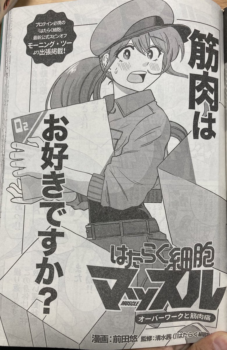今週のモーニングに掲載されてるはたらく細胞マッスルの後のページに、はたらく細胞BLACKと共にはたらく細胞BABYの宣伝が掲載されてます〜😊
全4巻で綺麗にまとまってたお話で読みやすいと思うので興味ある方は是非〜😊 #はたらく細胞マッスル #はたらく細胞BLACK #はたらく細胞BABY 