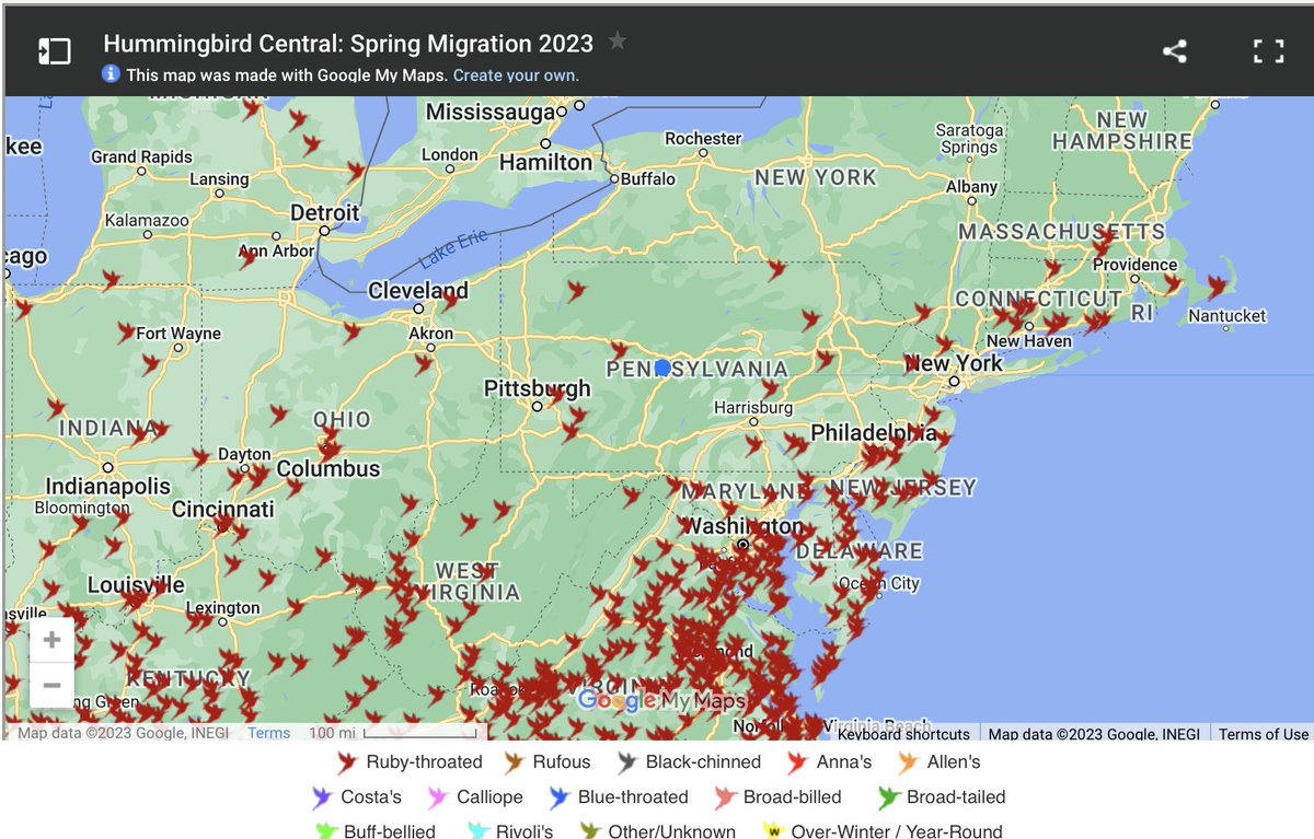 SteveCaporizzo's tweet photo. Hummingbird Update.

With the warm weather they are now making fast progress Northward….
Sightings around NYC and in Southern New England.

Great link to follow.

https://t.co/9HBN3mmm6F https://t.co/7pngS4ynNv