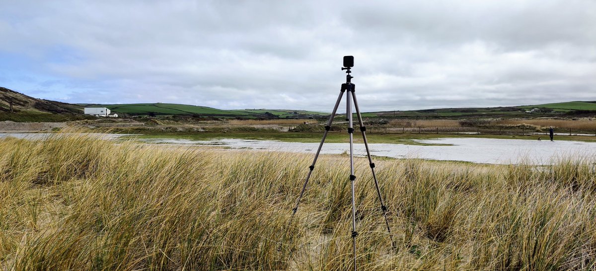 LOCATIONZ™ tweet media