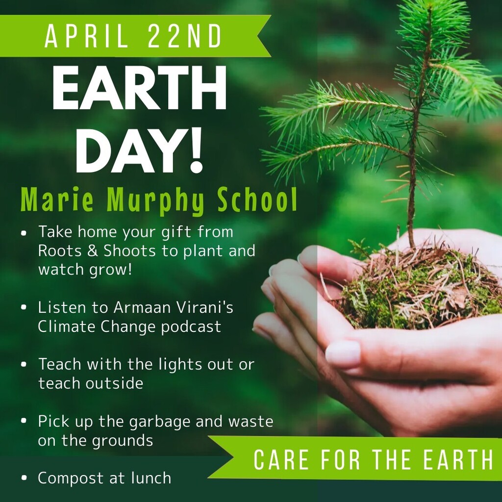 Marie Murphy School tweet media