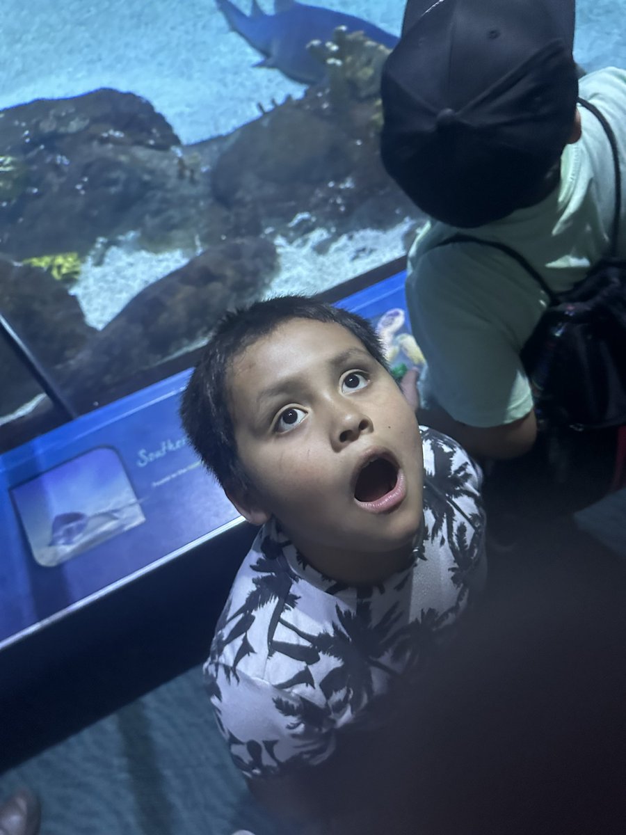 The <a href="/OmahaZoo/">Omaha's Zoo</a> aquarium got us like….