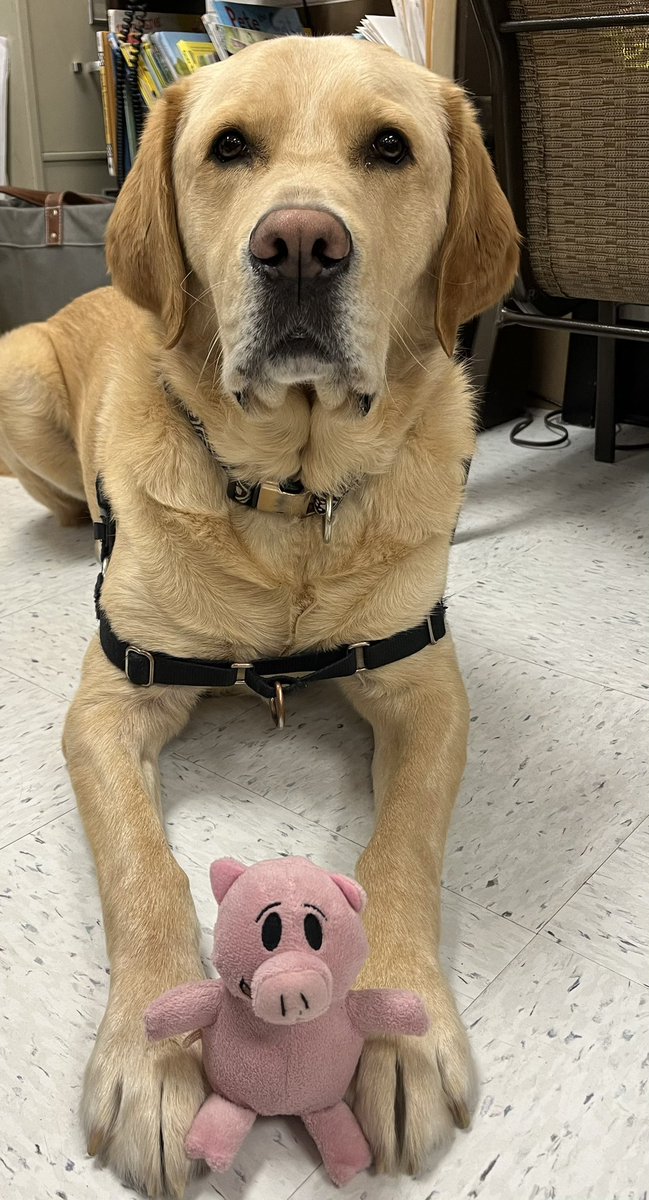 Happy Pig Day!!! 🐷<a href="/HeritageECS/">Heritage Early Childhood School</a> #HECSmagic #WEareLakota