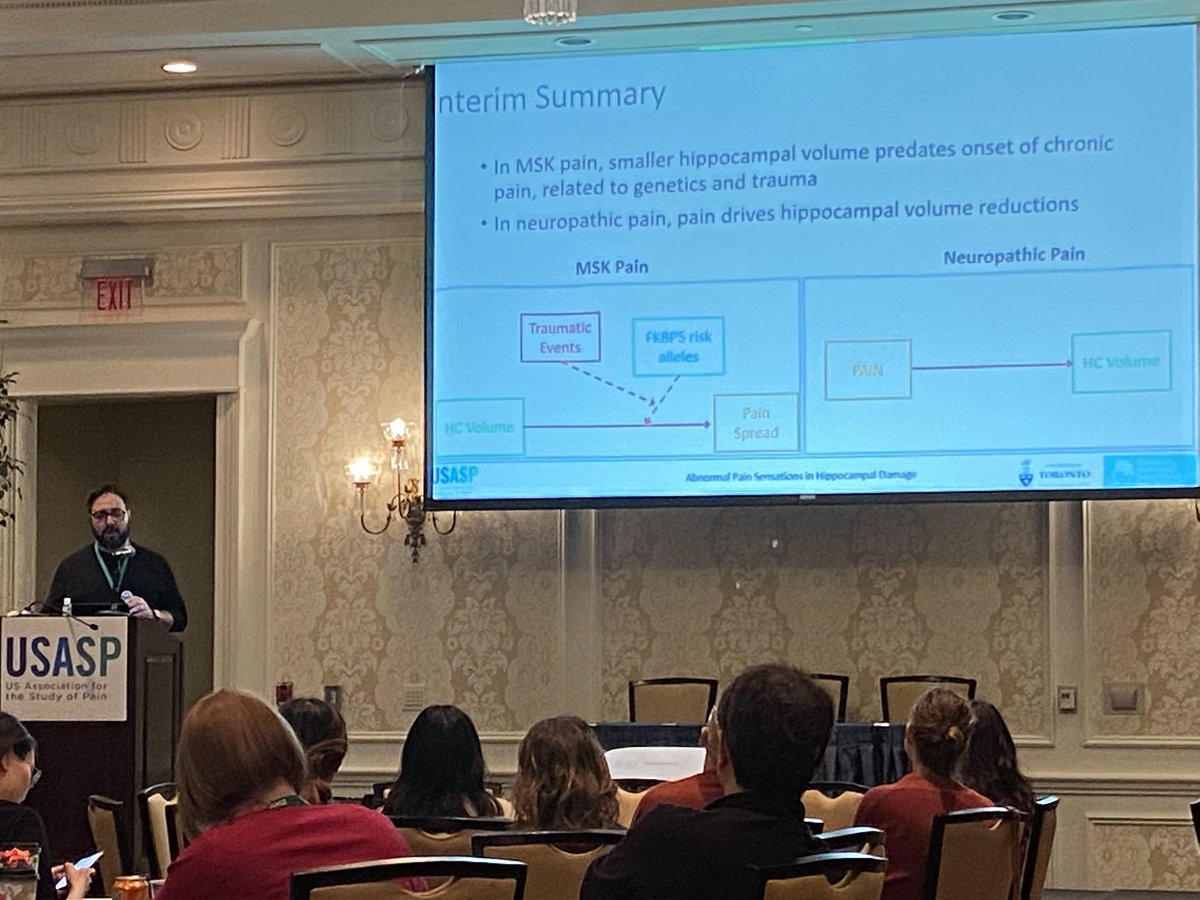 dr_thesia's tweet image. Wild!!! 🐴🧜‍♀️Hippocampus volume is reduced with pain, and restored with pain relief!
#USASP2023