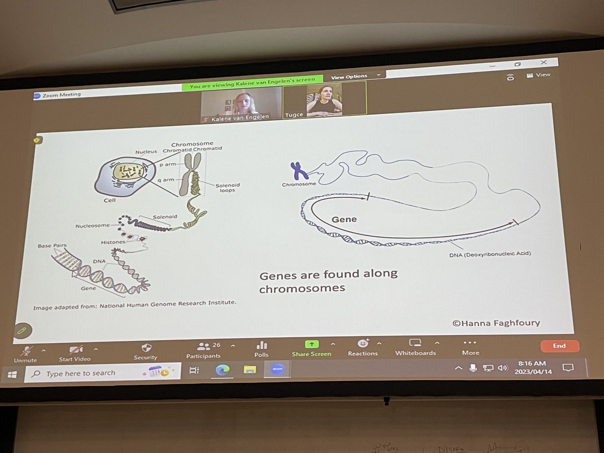Excellent talk about #epilepsy &amp; #genetics 🧬 by ⁦<a href="/TugceBBalci/">Tugce B Balci</a>⁩ &amp; Kalene Van Engelen! Thank you for sharing your knowledge with ⁦<a href="/westernuEpilep/">WesternU Epilepsy</a>⁩ ⁦<a href="/westernuCNS/">#WesternU CNS</a>⁩