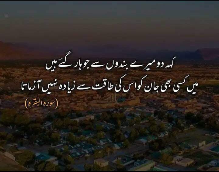 SheikhZakir01's tweet photo. #surah_bakarah 
#al_quran https://t.co/RR6kmT3C5I