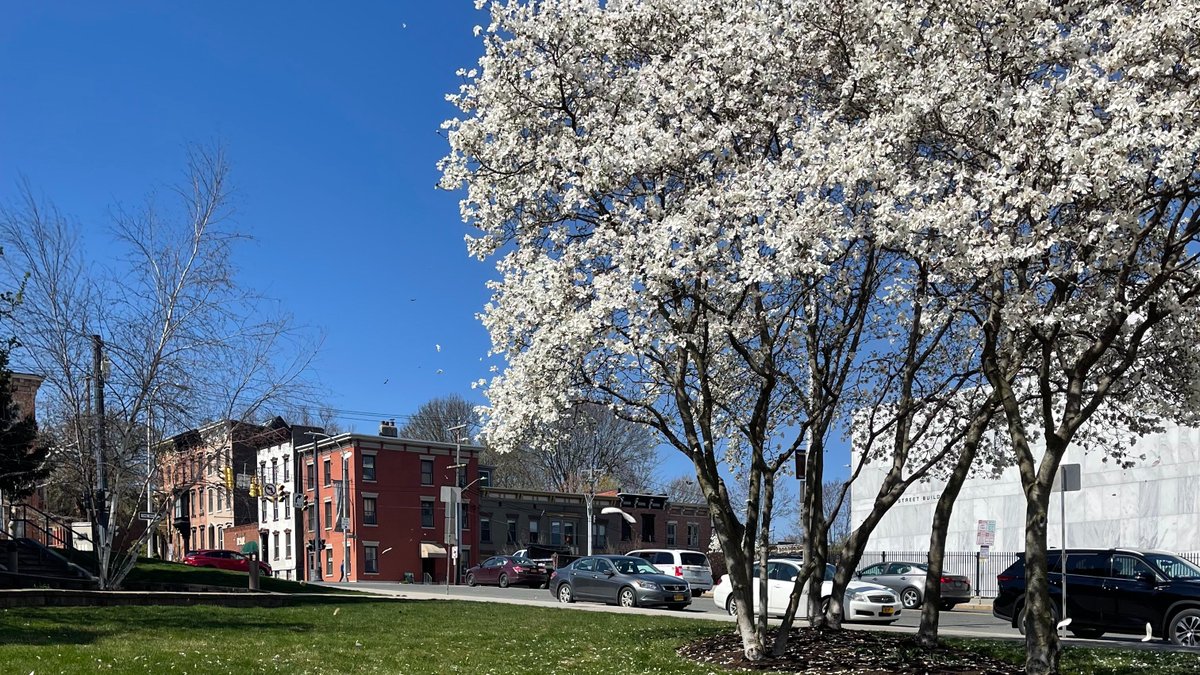 Empire State Plaza on Twitter "Spring hits differently at the Plaza 🌸🥊