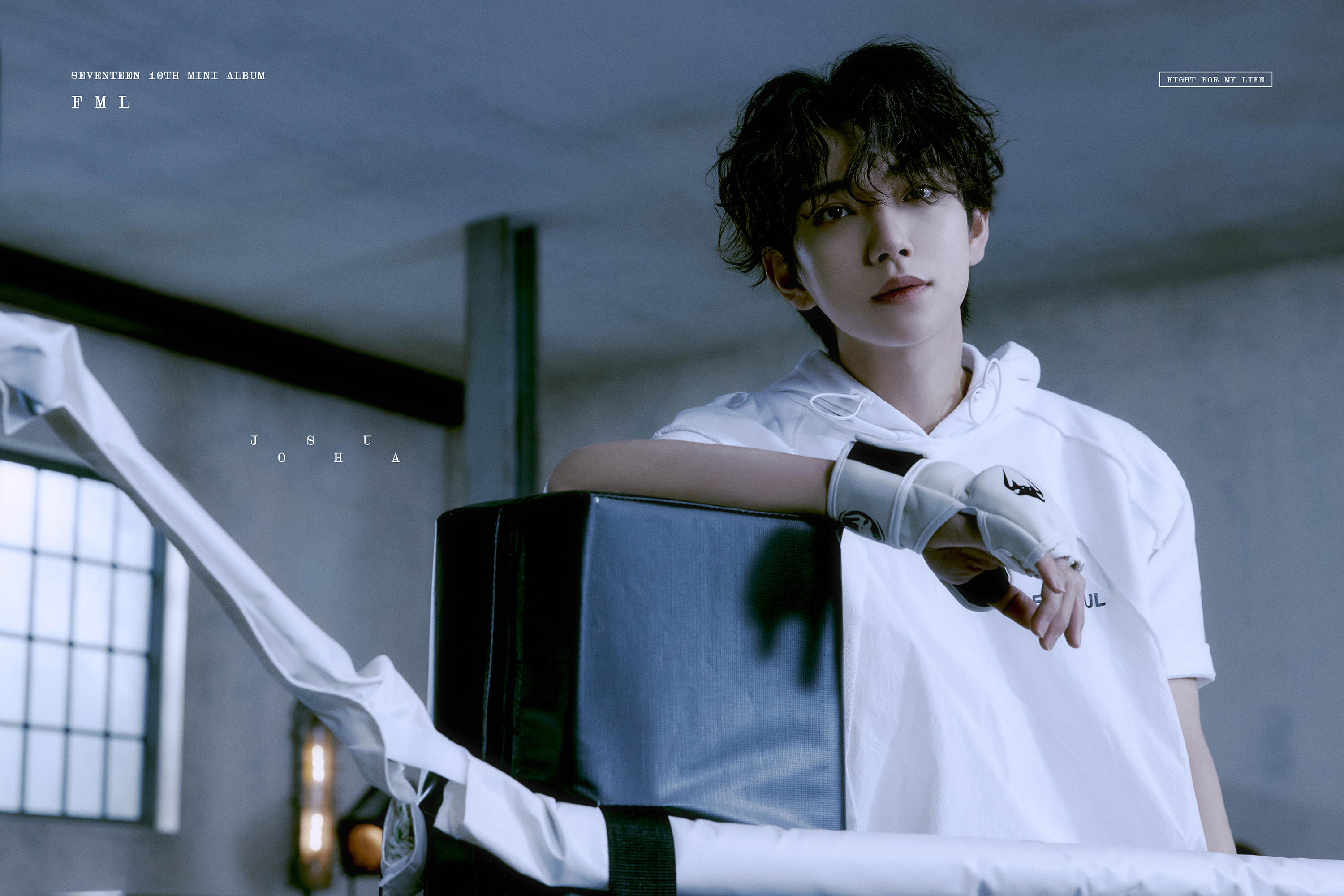 SEVENTEENジョシュアFML 세븐틴(SEVENTEEN) on X: 
