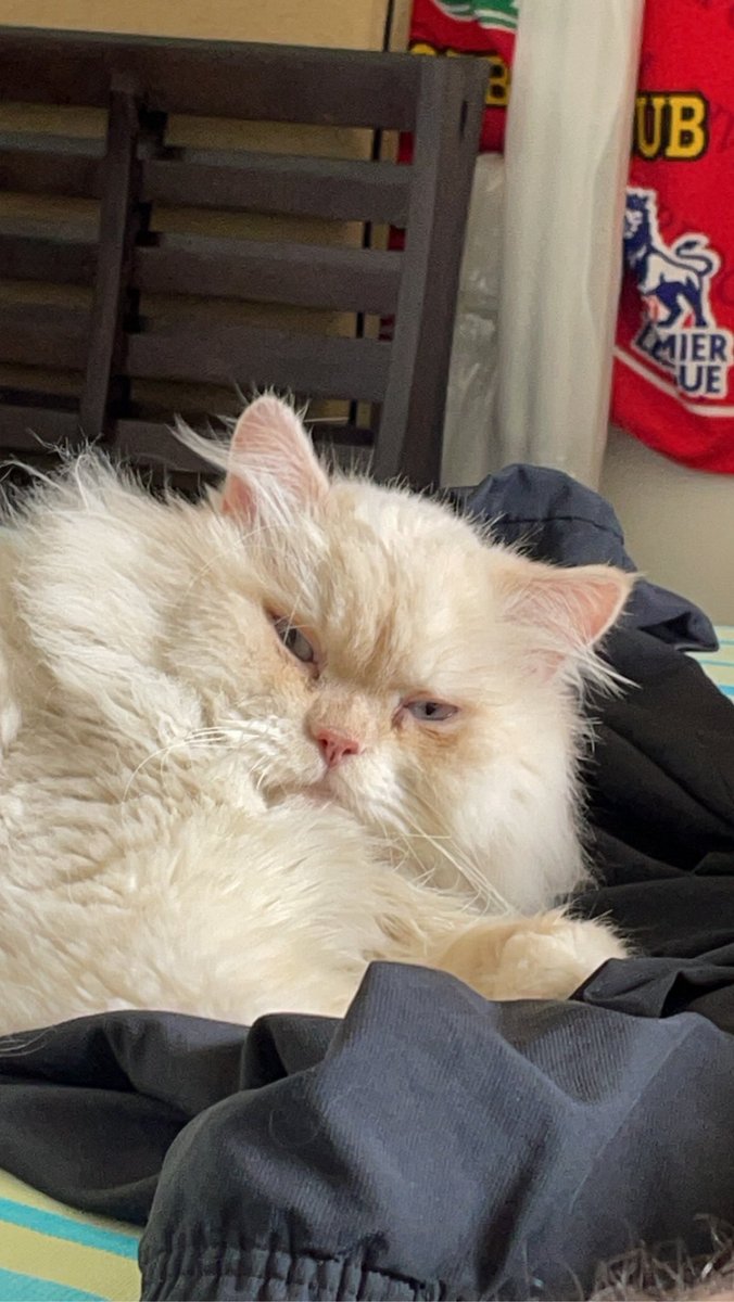 i sneezed too loud and woke him up