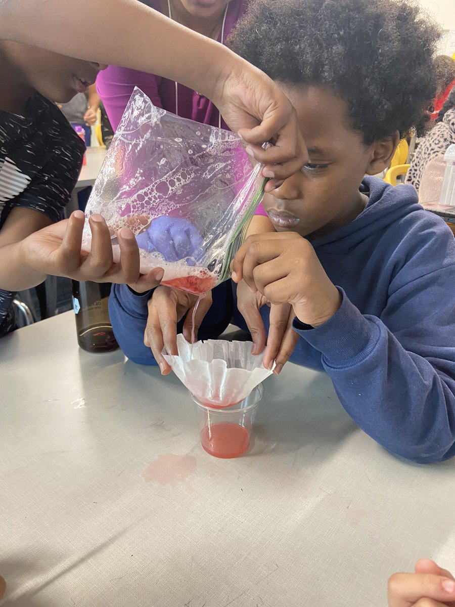 Science Enrichment Day Session 2   Strawberry DNA