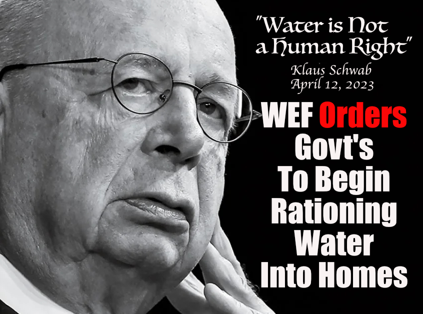 Moondani tweet media