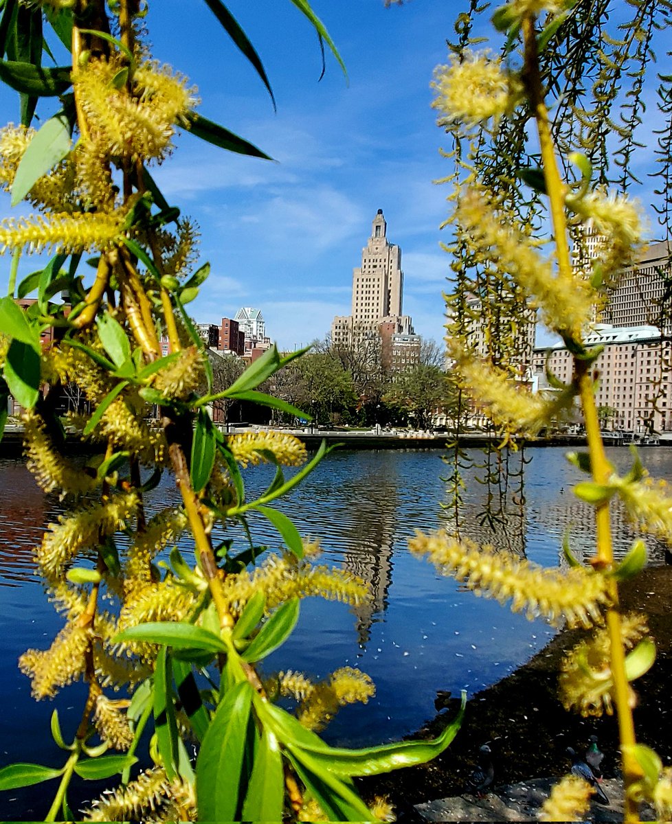 rhodyknowsbest's tweet photo. I spy the #supermanbuilding in #Providence Beautiful Summer-like day here Rhode Island  . https://t.co/D4nx77ONiM