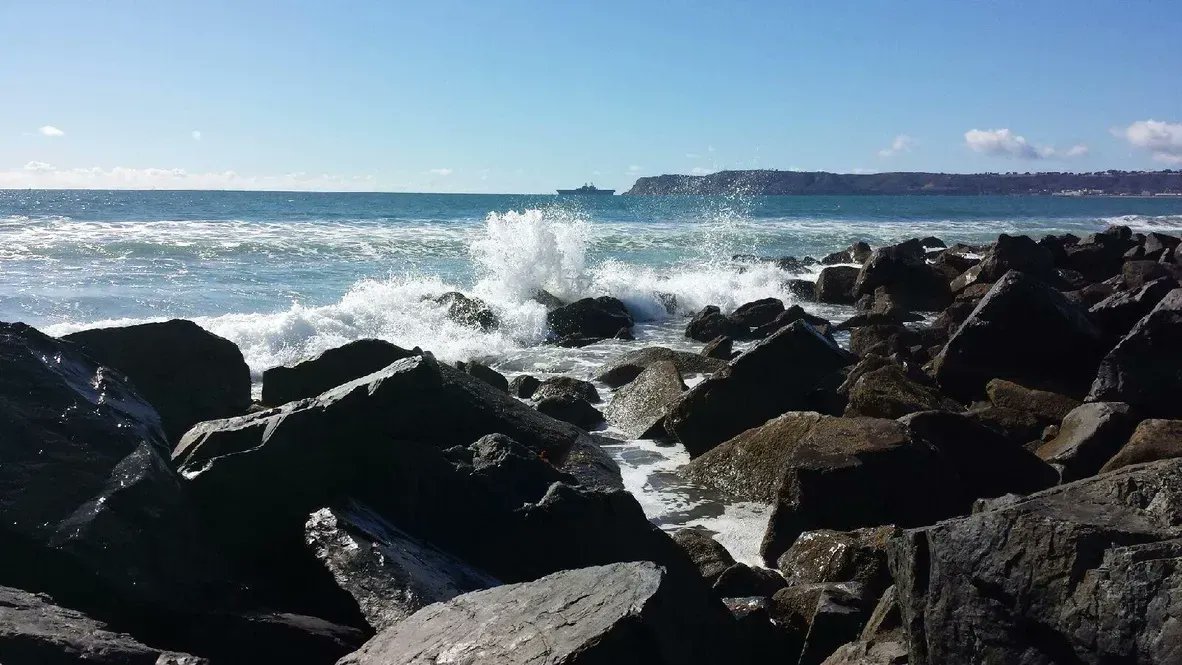 Peggy Bodde tweet media