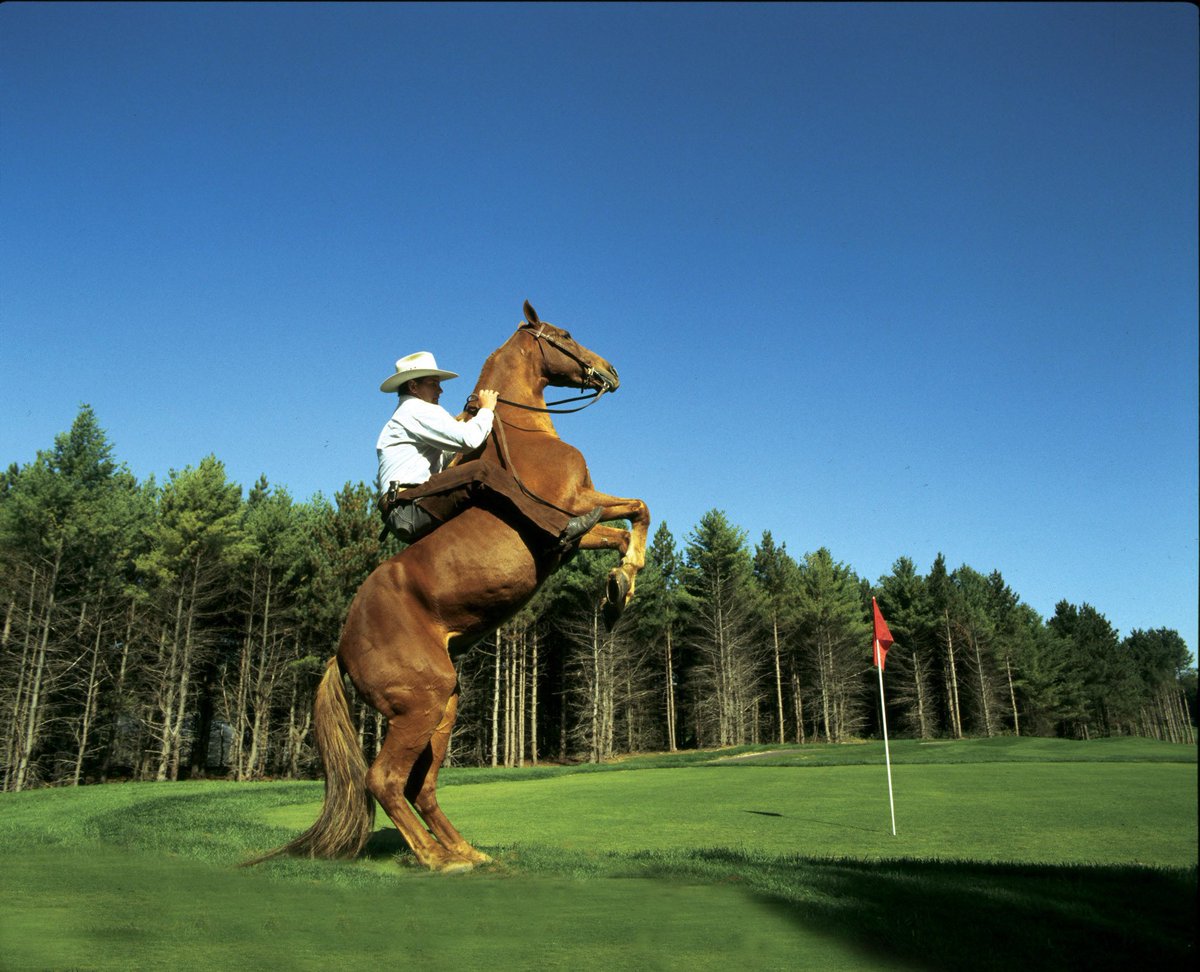Burgham Park Golf Club tweet media