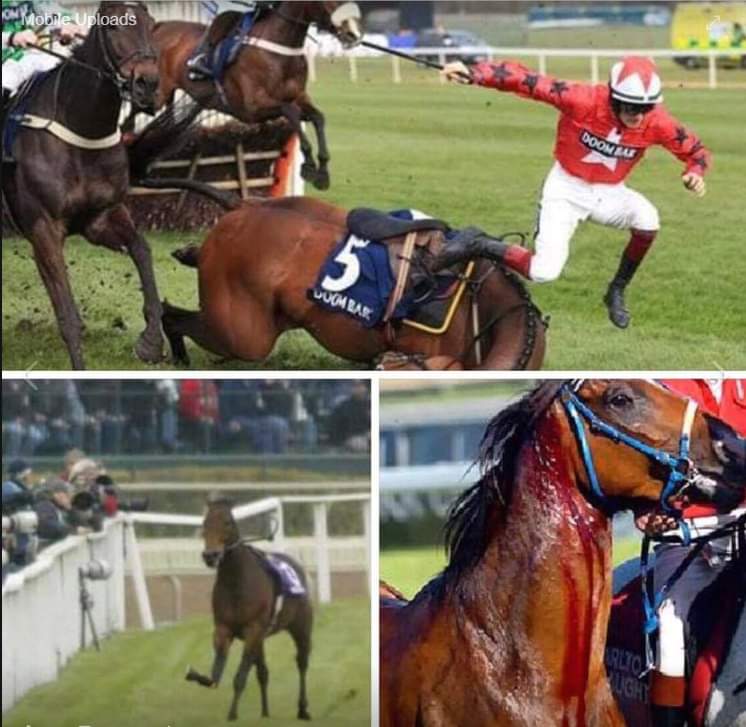 ImKhan70's tweet photo. 47 horses have now died at UK race meetings this year with today's death of #EnvoyeSpecial on the first day of the Grand National.

It seems playing Russian roulette with a horse's life is still considered sport or entertainment. https://t.co/XusNf51SVi
