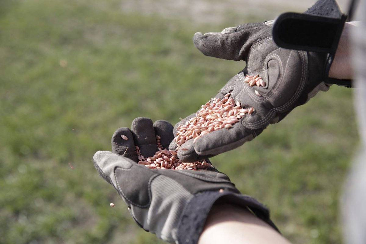 Bayer4CropsCA's tweet photo. It's been a cold spring in #WestCdnAg 🥶
If you're seeding cereals in cooler temps, make sure they're treated with a #RaxilPRO product. Raxil is a great choice because it applies safely in cooler pre-season temperatures, with a freezing point of -16°C.
👉https://t.co/dxKfWAf1I9 https://t.co/oI5I3DzgCv