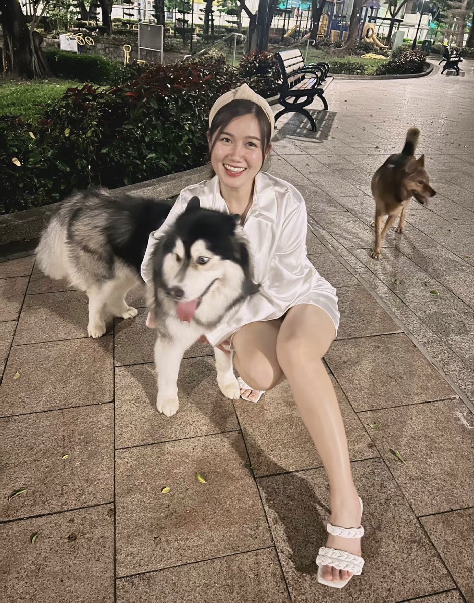 楽しい週末、またレモンに会えましたね!🥰☺️
明日、スキーに連れて行こうかと考えています。🏂🏂