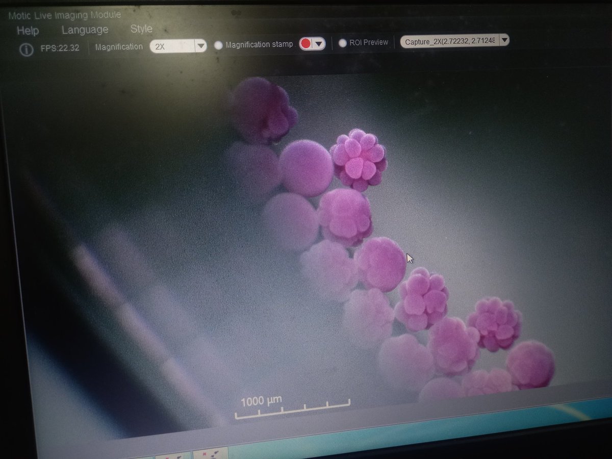 Christine Baran tweet media