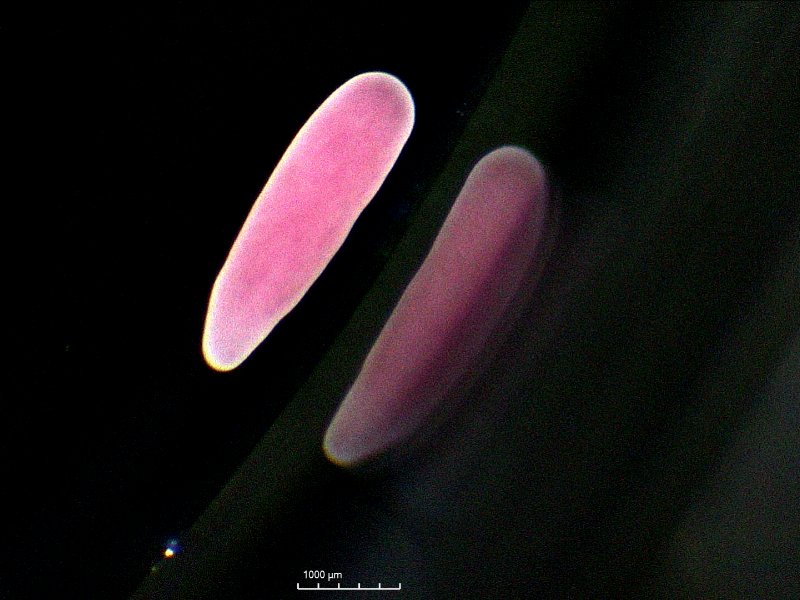 Christine Baran tweet media