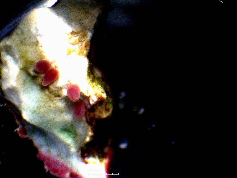 Christine Baran tweet media