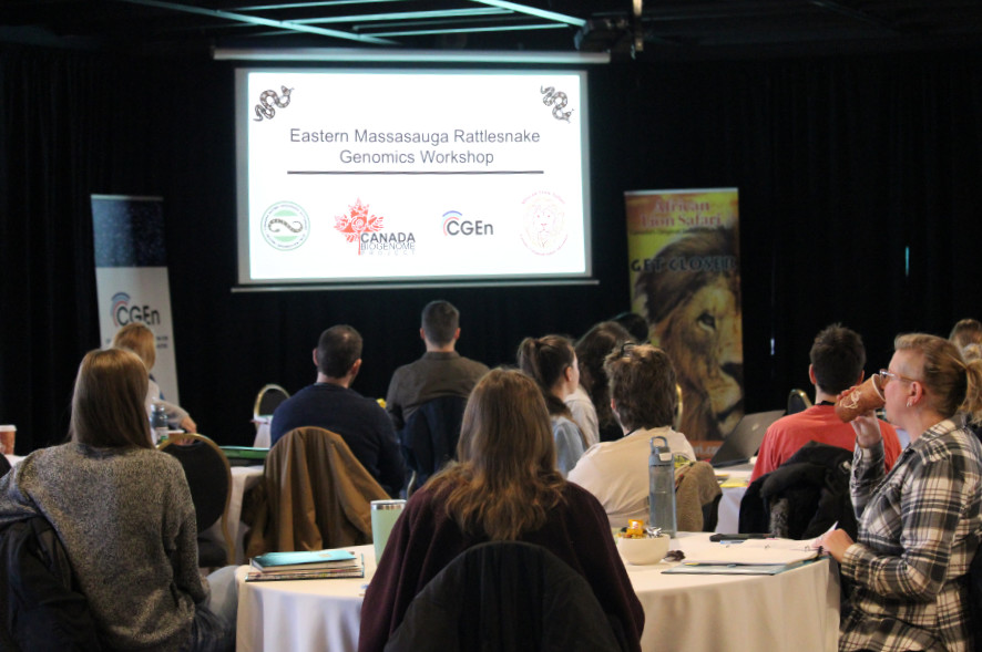 On February 15th, African Lion Safari hosted a multi-stakeholder workshop to develop a genomics action plan to support the recovery of the Eastern Massasauga Rattlesnake. 🐍 Read more about the workshop and its outcome here: bit.ly/3M7HFzM