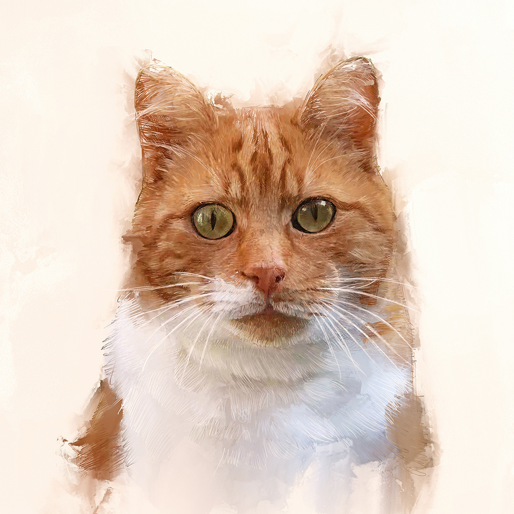 Hilltop_Pixel's tweet photo. Custom Cat Portrait

#cat #catportrait #catart #catartwork #customcatart #customcatartwork #personalizedcatart #petart #petartwork #animalart #animalartwork #petportrait #catartist #catlover #pet https://t.co/TYdbMjUHSc