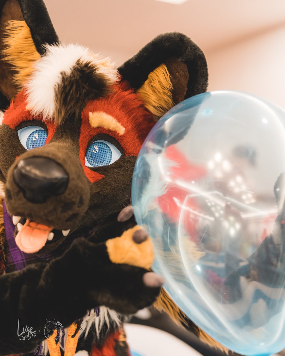 PaintedDesertFC's tweet photo. Happy Fursuit Friday everyone.   I hope a happy doggo playing with a balloon will brighten your day today.  #FursuitFriday #PDFC2023 #PoolToyParty 

📷:Luke Spots
🐦@luke_spots
Insta @luke_spots
🔗 https://t.co/bVLrBoTowZ https://t.co/ir6lRLNNE8