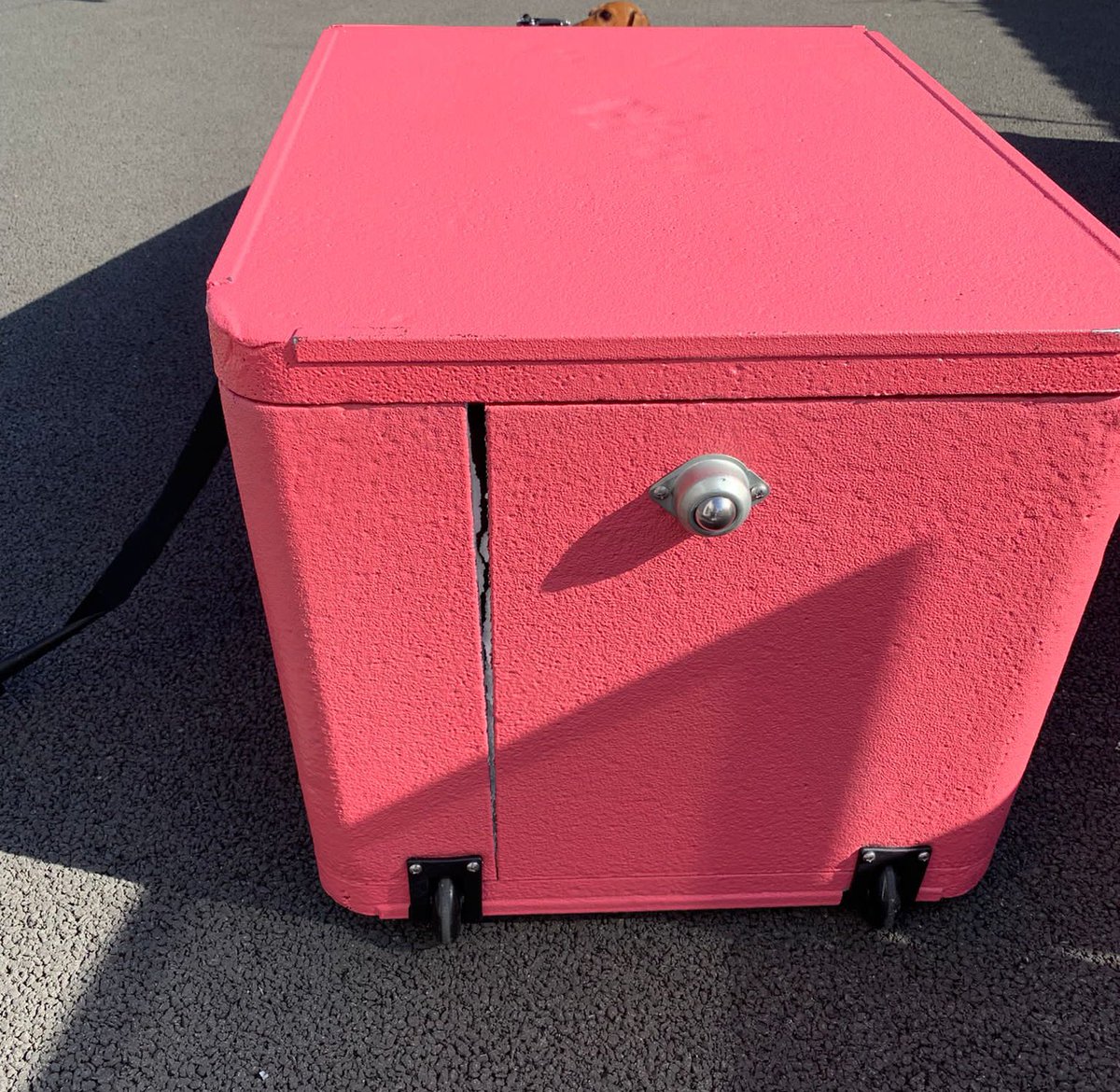 Jade Hall tweet media