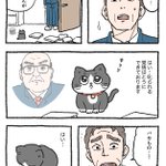 “ねこに転生したおじさん”を描いた漫画が登場キャラ全員カワイイと話題に!