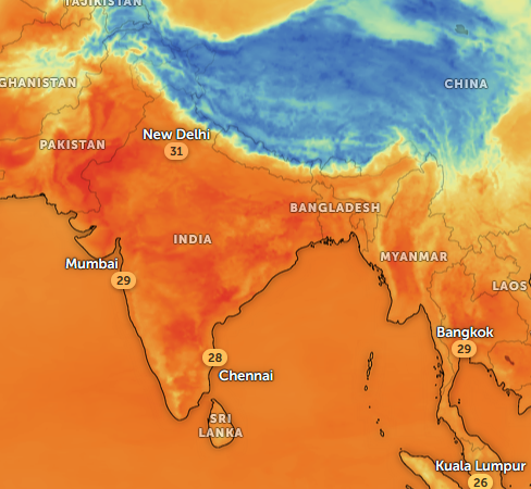 Rafiqul Montu 🇧🇩 tweet media
