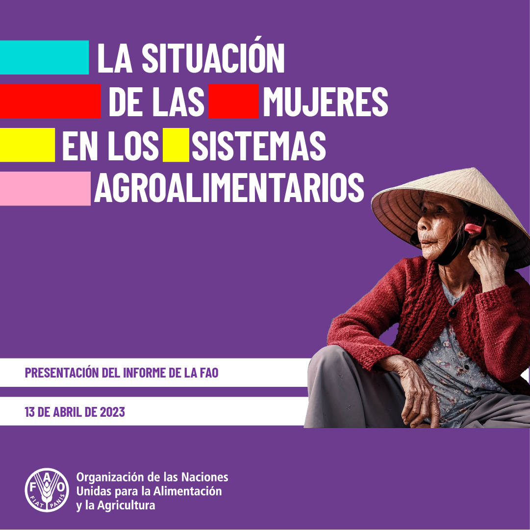 huelladelta's tweet photo. Este nuevo informe de @FAO sobre mujeres en los sistemas agroalimentarios proporciona  datos, lecciones aprendidas y recomendaciones para promover la equidad. 

https://t.co/Y1JcAa2Foc https://t.co/Ei6qcNsK0R