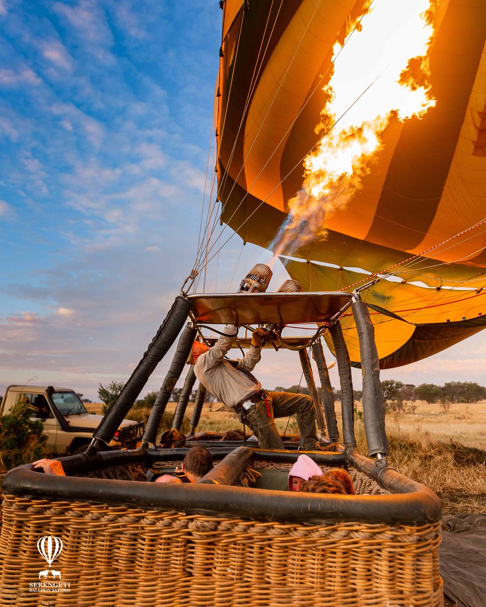 Serengeti Balloon Safaris tweet media