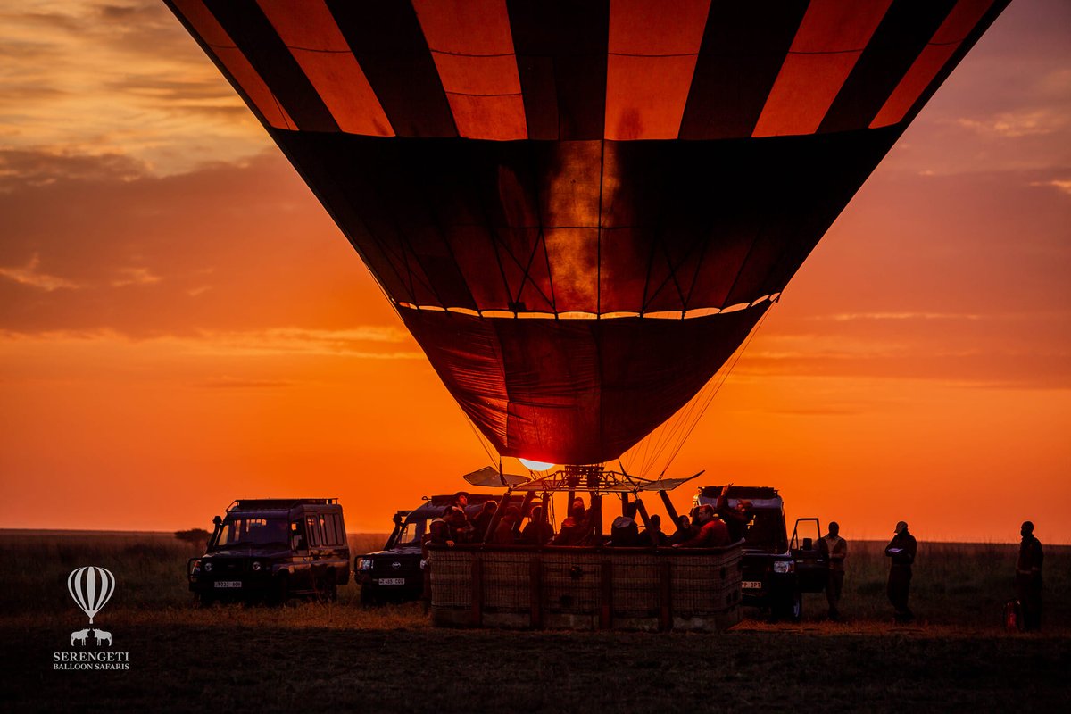 Serengeti Balloon Safaris tweet media