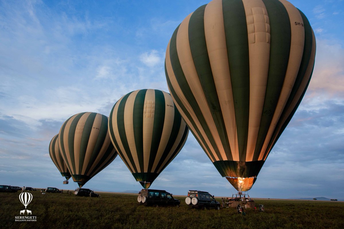 Serengeti Balloon Safaris tweet media