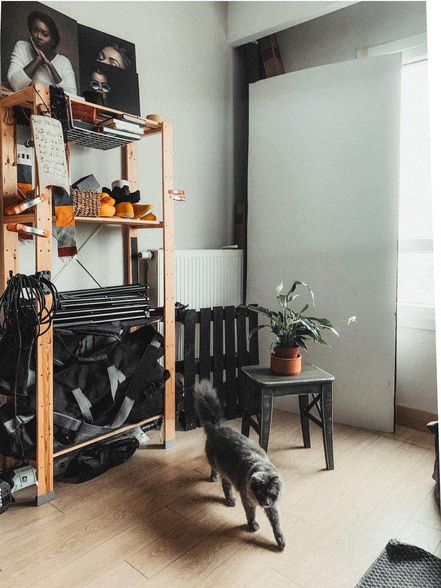 Bombo 🐈‍⬛ في الاستوديو