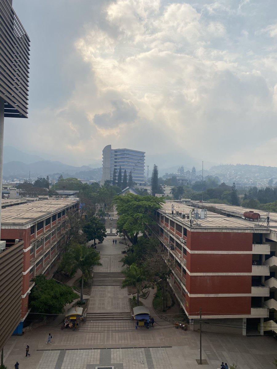 BessyMartinez6's tweet photo. Paso a paso 📚 #Unah #Posface #MAE #Finanzas https://t.co/0p8itXo892