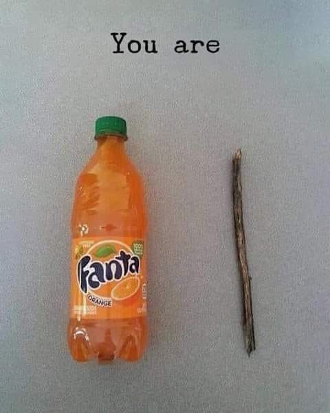 PicturesFoIder's tweet image. 