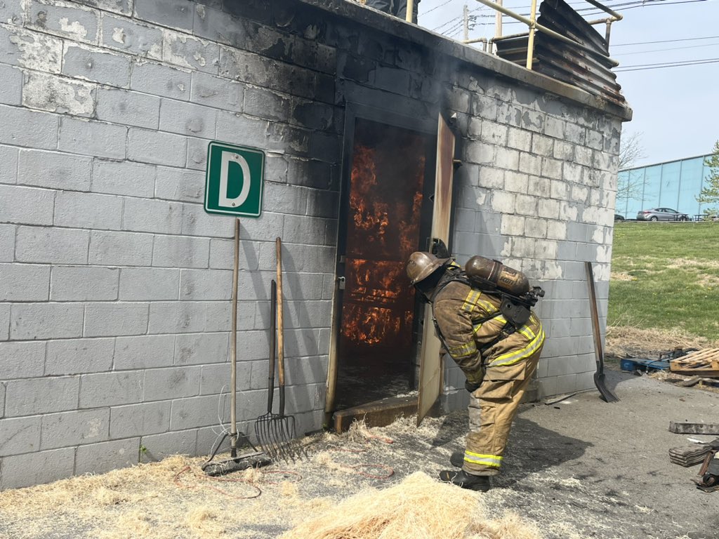 David Hanks tweet media