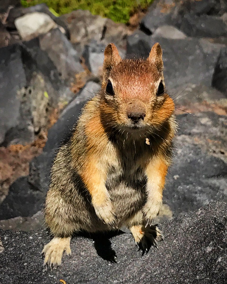 PassiveRacket.eth 🥶🌱💣🇺🇦 tweet media